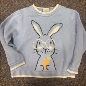 BOYS EASTER SWEATER SIZE 2T